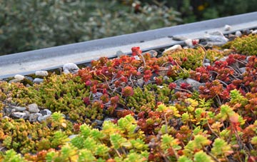 the cost of Glenrath green roof installation