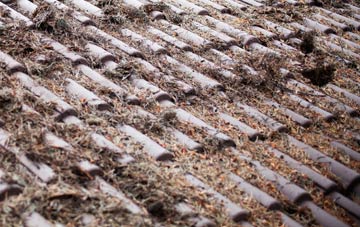 Glenrath roof cleaning companies