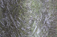 Glenrath fibreglass roof work